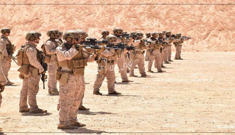 الاعفاء من الجيش المصرى