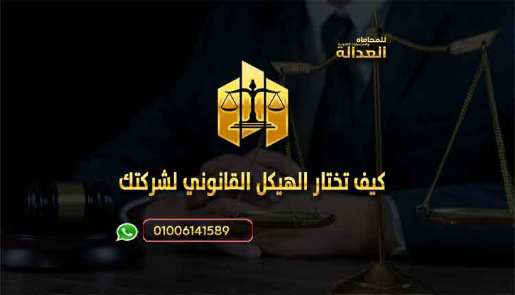 الهيكل القانونى